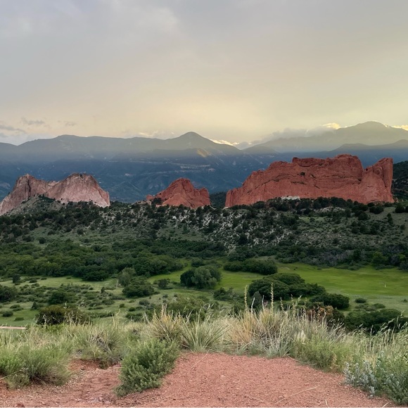 Meet your Posher, Priscilla - Picture 1 of 1